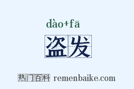 盗发是什么意思的图片